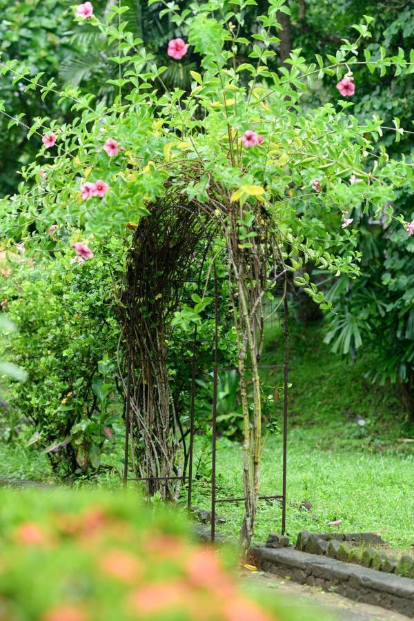 Irene'S Home Matale Zewnętrze zdjęcie